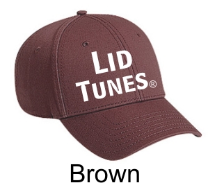 Lid Tunes Brown Hat